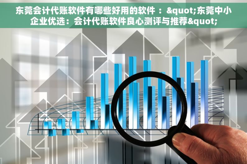 东莞会计代账软件有哪些好用的软件 ："东莞中小企业优选：会计代账软件良心测评与推荐"
