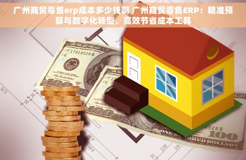 广州商贸零售erp成本多少钱啊 广州商贸零售ERP：精准预算与数字化转型，高效节省成本工具