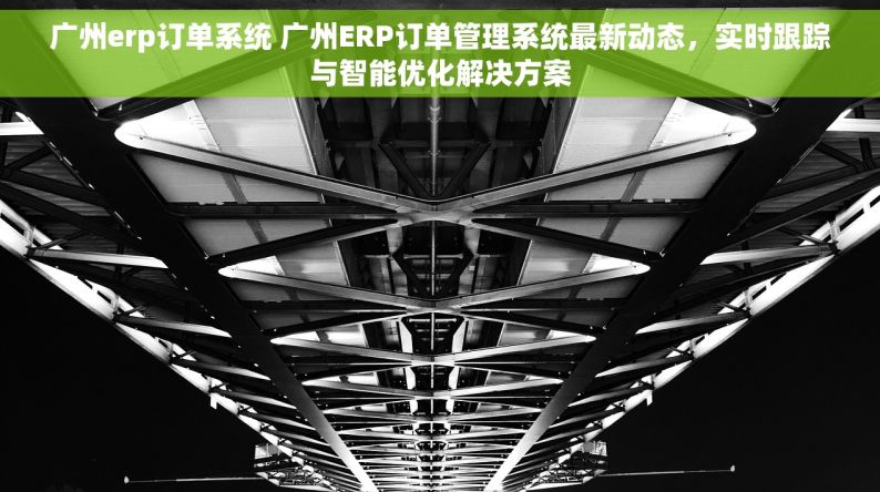 广州erp订单系统 广州ERP订单管理系统最新动态，实时跟踪与智能优化解决方案
