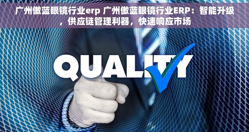 广州傲蓝眼镜行业erp 广州傲蓝眼镜行业ERP：智能升级，供应链管理利器，快速响应市场