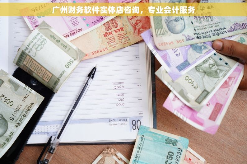 广州财务软件实体店咨询，专业会计服务