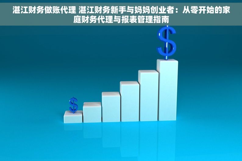 湛江财务做账代理 湛江财务新手与妈妈创业者：从零开始的家庭财务代理与报表管理指南
