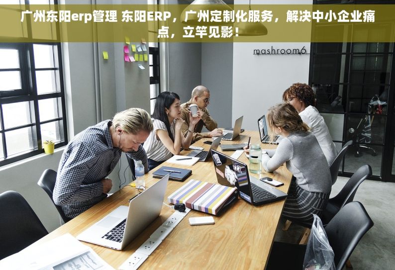 广州东阳erp管理 东阳ERP，广州定制化服务，解决中小企业痛点，立竿见影！