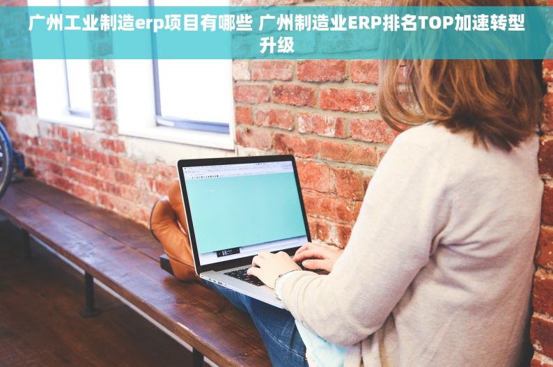 广州工业制造erp项目有哪些 广州制造业ERP排名TOP加速转型升级