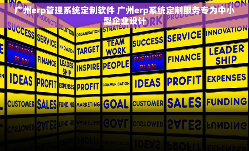 广州erp管理系统定制软件 广州erp系统定制服务专为中小型企业设计