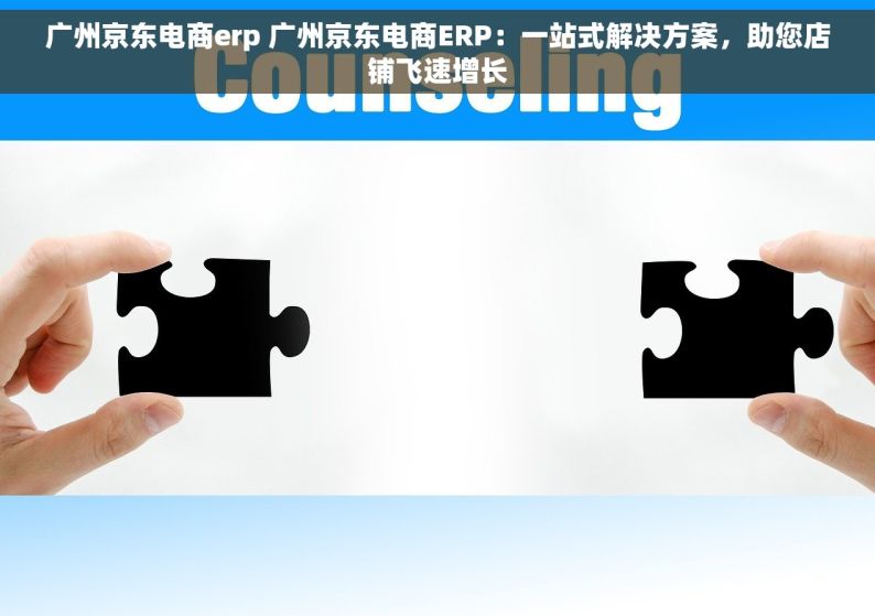 广州京东电商erp 广州京东电商ERP：一站式解决方案，助您店铺飞速增长