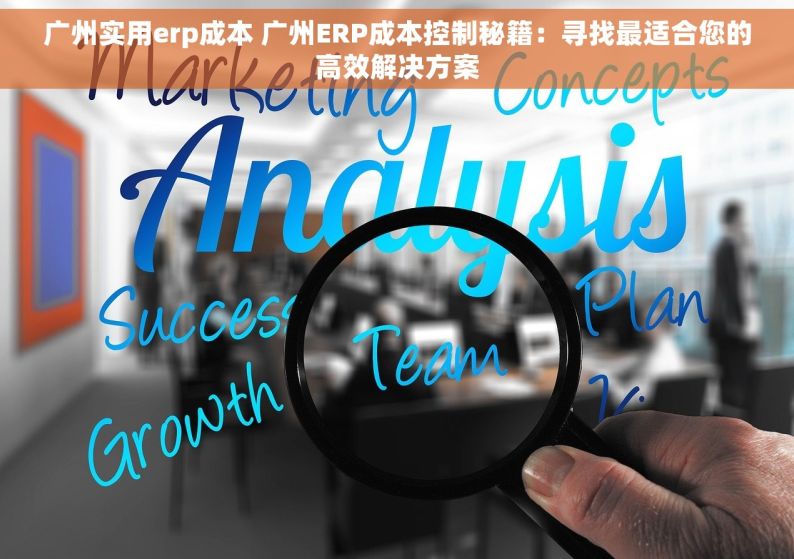 广州实用erp成本 广州ERP成本控制秘籍：寻找最适合您的高效解决方案