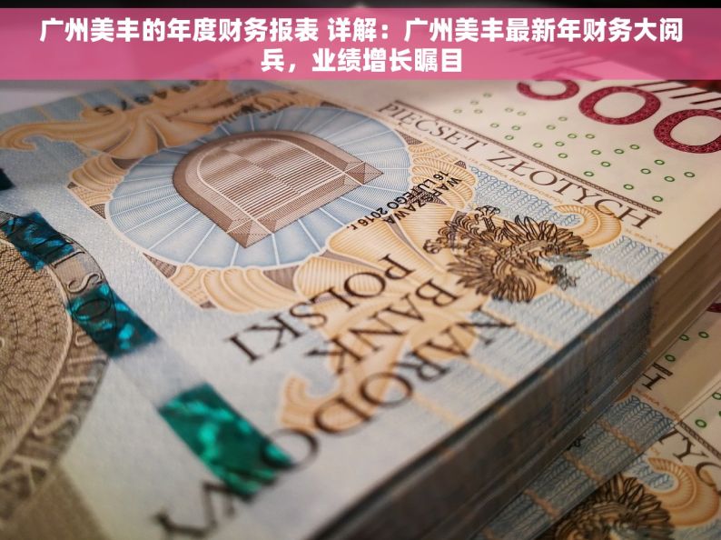广州美丰的年度财务报表 详解：广州美丰最新年财务大阅兵，业绩增长瞩目