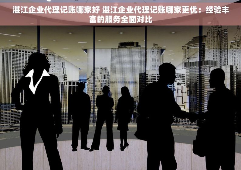 湛江企业代理记账哪家好 湛江企业代理记账哪家更优：经验丰富的服务全面对比