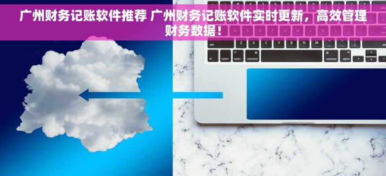 广州财务记账软件推荐 广州财务记账软件实时更新，高效管理财务数据！