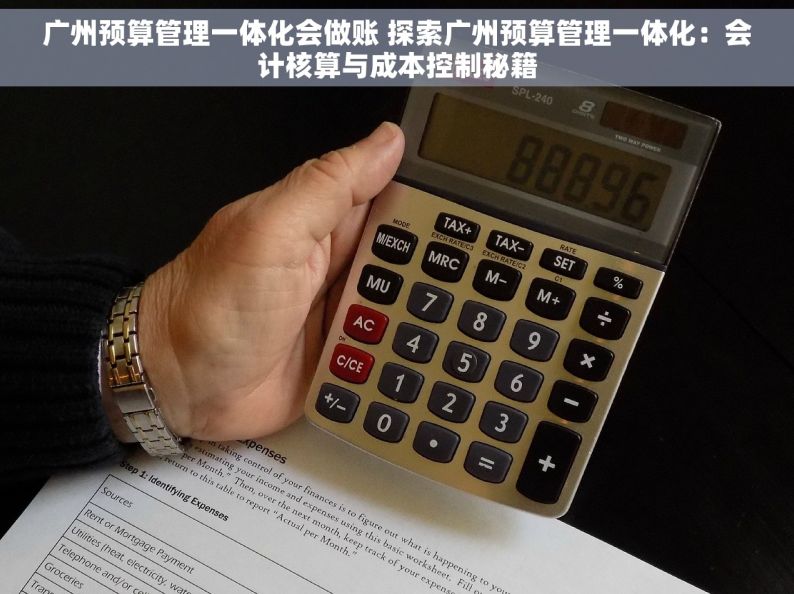 广州预算管理一体化会做账 探索广州预算管理一体化：会计核算与成本控制秘籍