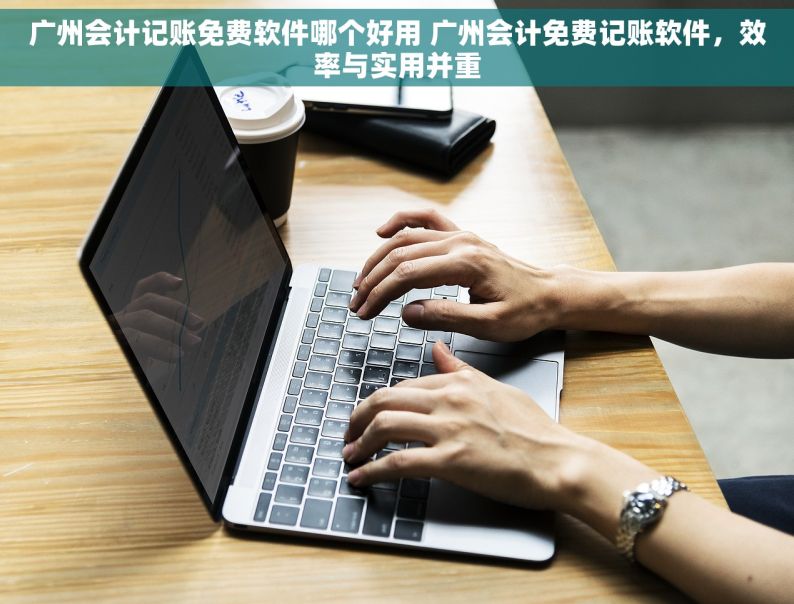 广州会计记账免费软件哪个好用 广州会计免费记账软件，效率与实用并重