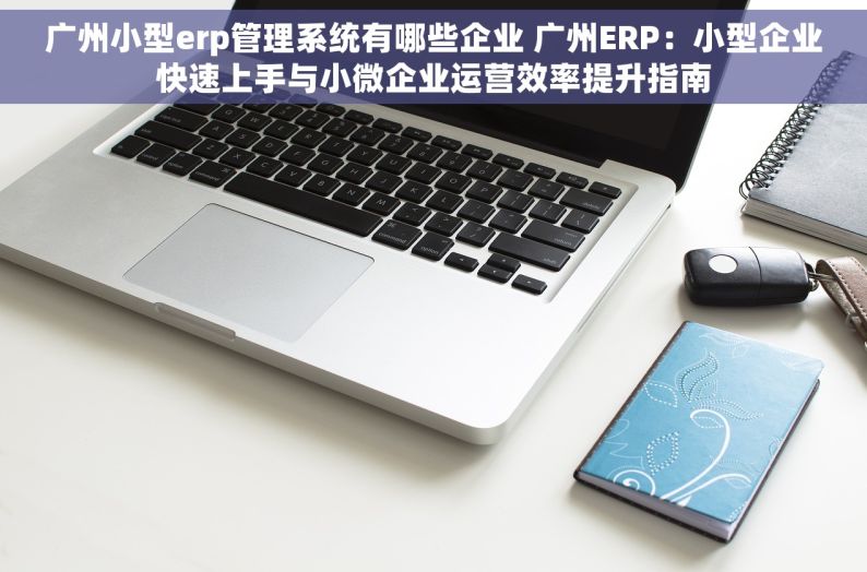广州小型erp管理系统有哪些企业 广州ERP：小型企业快速上手与小微企业运营效率提升指南