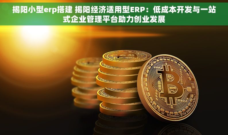揭阳小型erp搭建 揭阳经济适用型ERP：低成本开发与一站式企业管理平台助力创业发展