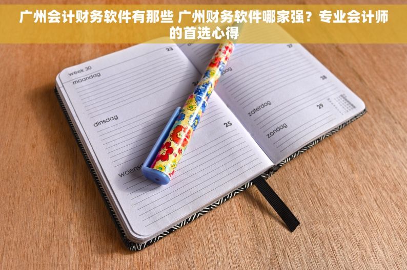 广州会计财务软件有那些 广州财务软件哪家强？专业会计师的首选心得