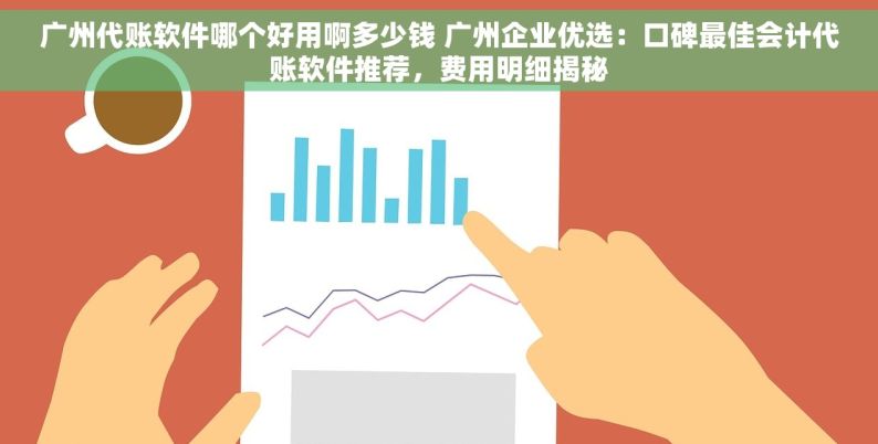 广州代账软件哪个好用啊多少钱 广州企业优选：口碑最佳会计代账软件推荐，费用明细揭秘