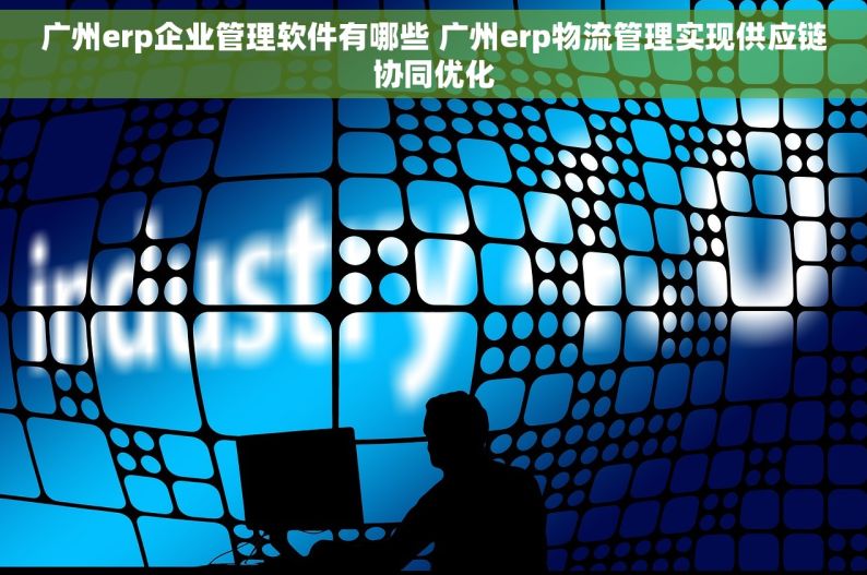 广州erp企业管理软件有哪些 广州erp物流管理实现供应链协同优化