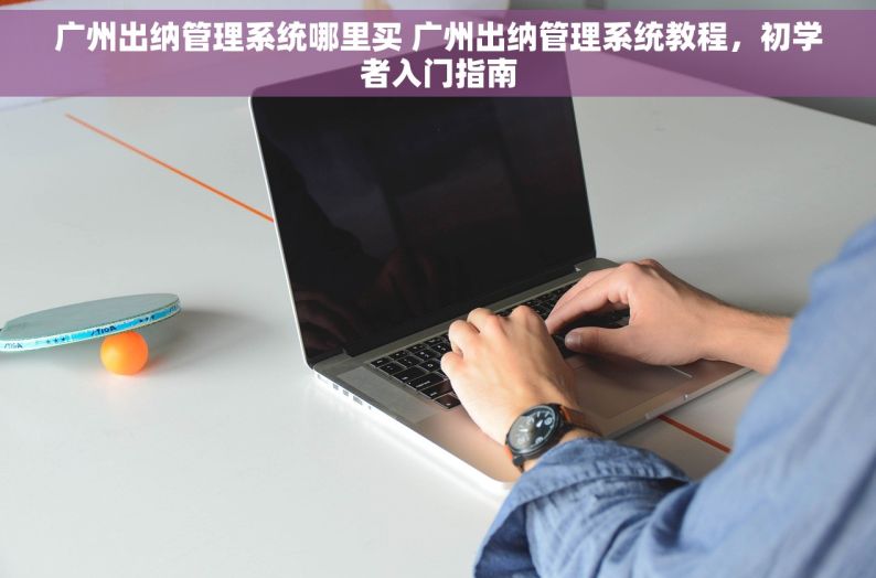 广州出纳管理系统哪里买 广州出纳管理系统教程，初学者入门指南