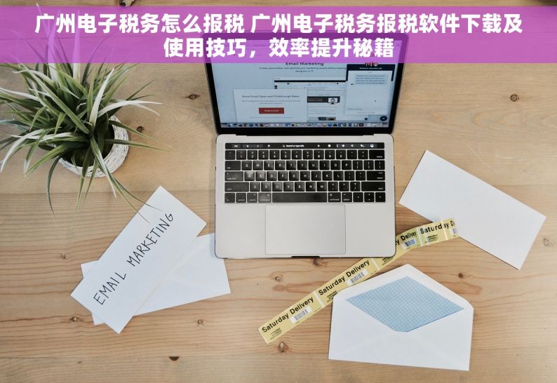 广州电子税务怎么报税 广州电子税务报税软件下载及使用技巧，效率提升秘籍