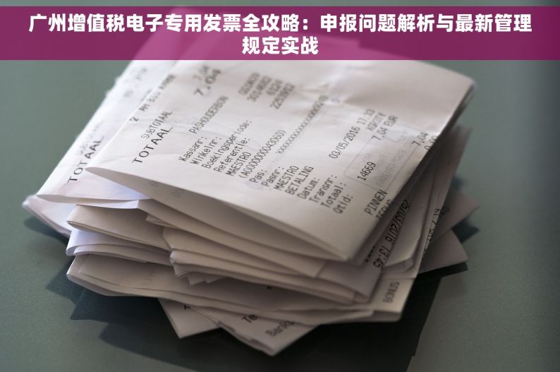广州增值税电子专用发票全攻略：申报问题解析与最新管理规定实战