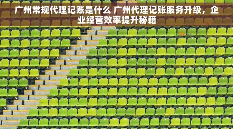 广州常规代理记账是什么 广州代理记账服务升级，企业经营效率提升秘籍