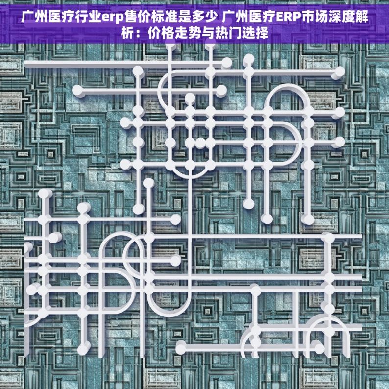 广州医疗行业erp售价标准是多少 广州医疗ERP市场深度解析：价格走势与热门选择