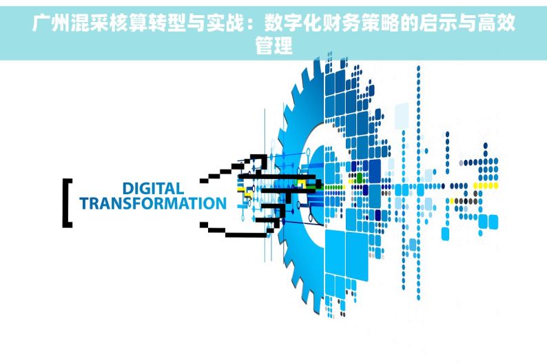 广州混采核算转型与实战：数字化财务策略的启示与高效管理
