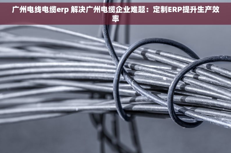 广州电线电缆erp 解决广州电缆企业难题：定制ERP提升生产效率