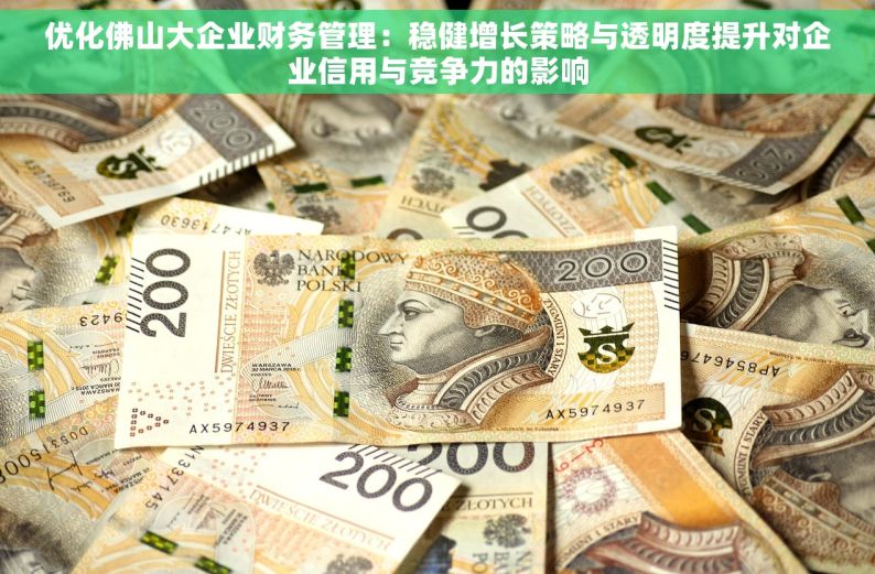 优化佛山大企业财务管理：稳健增长策略与透明度提升对企业信用与竞争力的影响