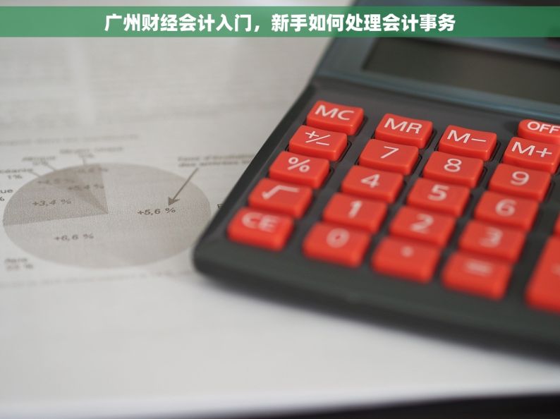 广州财经会计入门，新手如何处理会计事务