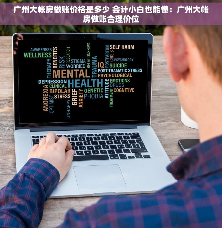 广州大帐房做账价格是多少 会计小白也能懂：广州大帐房做账合理价位