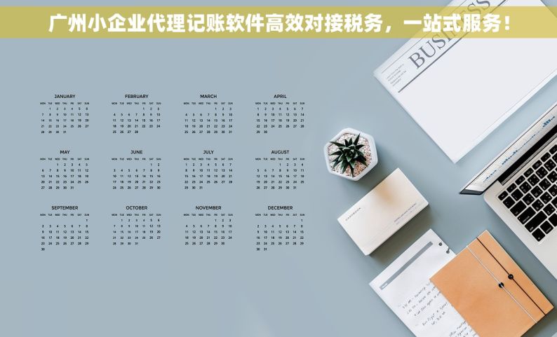 广州小企业代理记账软件高效对接税务，一站式服务！