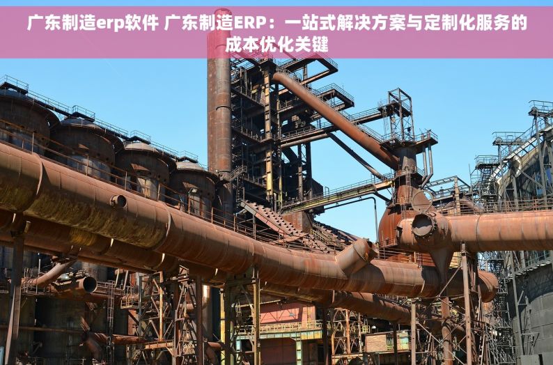 广东制造erp软件 广东制造ERP：一站式解决方案与定制化服务的成本优化关键