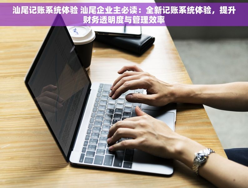 汕尾记账系统体验 汕尾企业主必读：全新记账系统体验，提升财务透明度与管理效率
