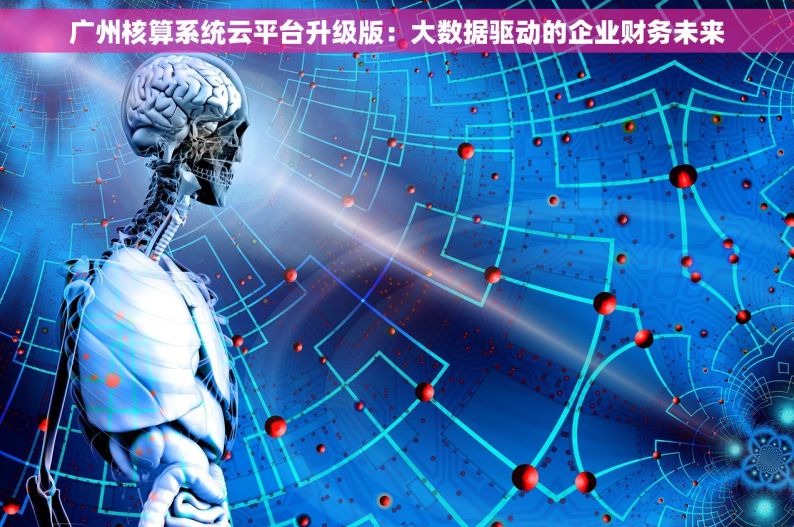 广州核算系统云平台升级版：大数据驱动的企业财务未来