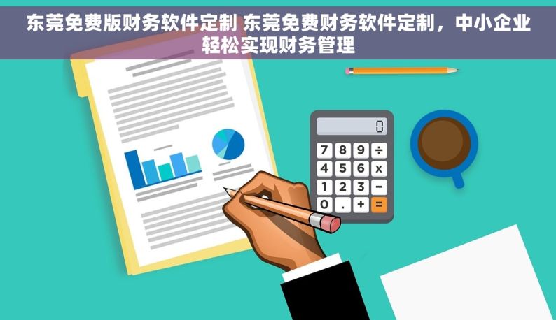 东莞免费版财务软件定制 东莞免费财务软件定制，中小企业轻松实现财务管理