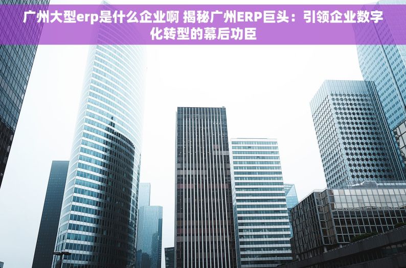 广州大型erp是什么企业啊 揭秘广州ERP巨头：引领企业数字化转型的幕后功臣