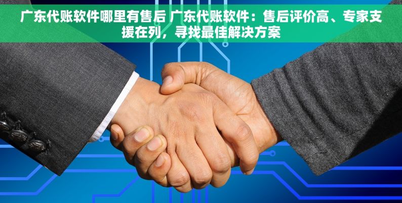 广东代账软件哪里有售后 广东代账软件：售后评价高、专家支援在列，寻找最佳解决方案