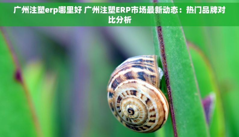 广州注塑erp哪里好 广州注塑ERP市场最新动态：热门品牌对比分析