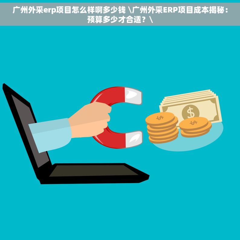 广州外采erp项目怎么样啊多少钱 \广州外采ERP项目成本揭秘：预算多少才合适？\