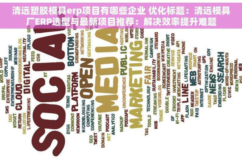 清远塑胶模具erp项目有哪些企业 优化标题：清远模具厂ERP选型与最新项目推荐：解决效率提升难题