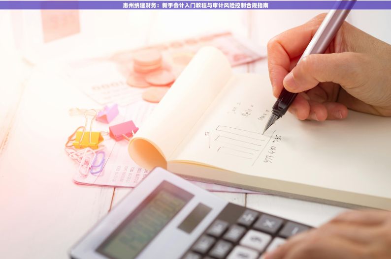 惠州纳建财务：新手会计入门教程与审计风险控制合规指南