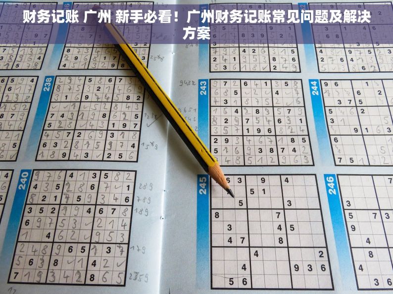 财务记账 广州 新手必看！广州财务记账常见问题及解决方案