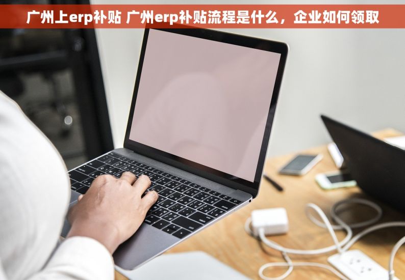 广州上erp补贴 广州erp补贴流程是什么，企业如何领取