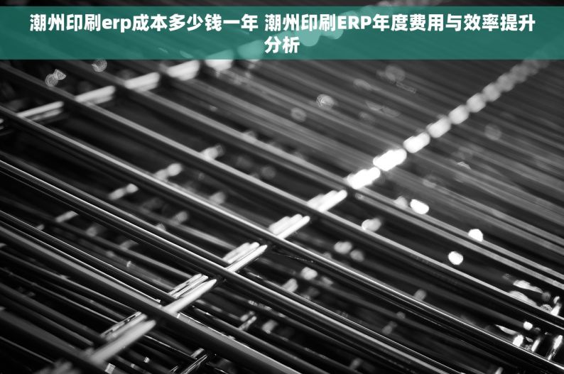 潮州印刷erp成本多少钱一年 潮州印刷ERP年度费用与效率提升分析