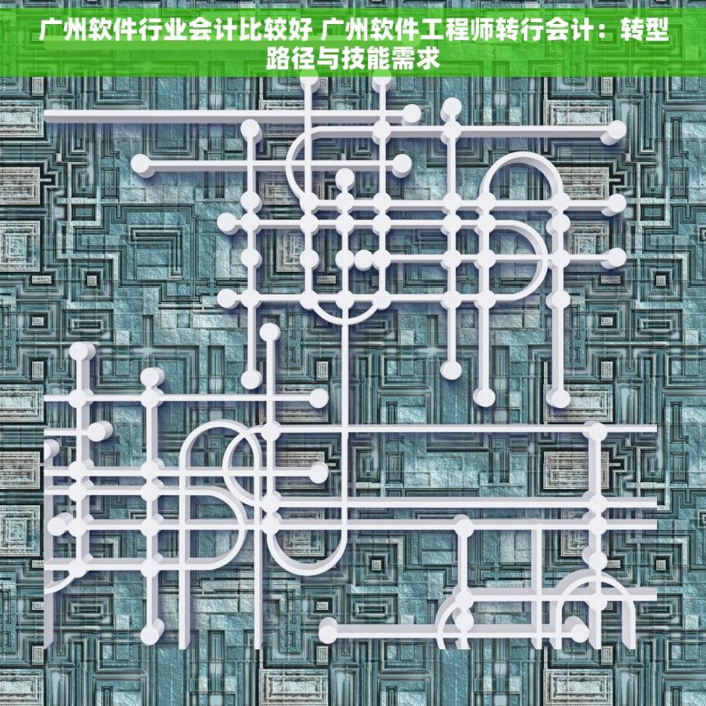 广州软件行业会计比较好 广州软件工程师转行会计：转型路径与技能需求
