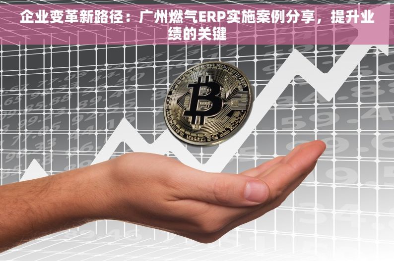 企业变革新路径：广州燃气ERP实施案例分享，提升业绩的关键