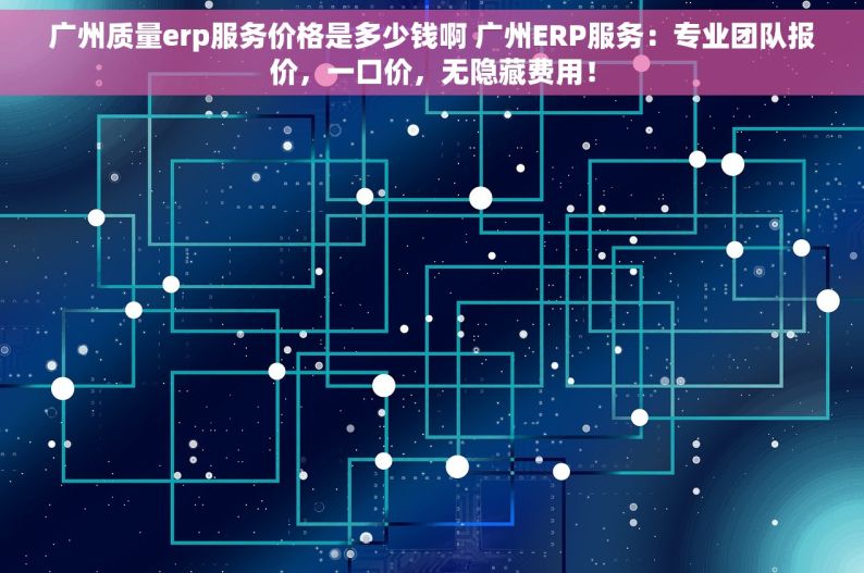 广州质量erp服务价格是多少钱啊 广州ERP服务：专业团队报价，一口价，无隐藏费用！