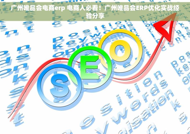 广州唯品会电商erp 电商人必看！广州唯品会ERP优化实战经验分享