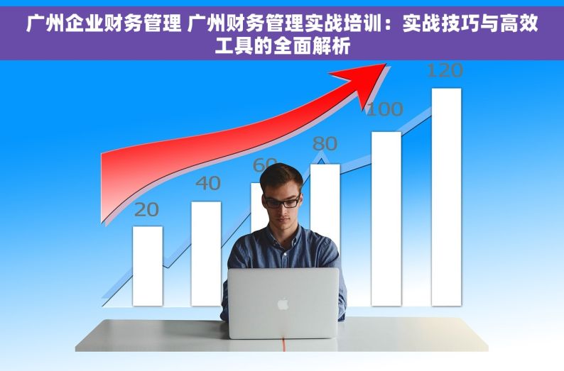 广州企业财务管理 广州财务管理实战培训：实战技巧与高效工具的全面解析